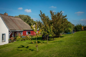 Ferienwohnungen Müller in Gager